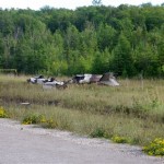 This July 13, 2010, photo provided by The St. Ignace News shows the wreckage of small plane that crashed after takeoff from the Mackinac County Airport in St. Ignace, Mich. The pilot Moshe Menora, 73, of Skokie, Ill., and three of his granddaughters Rikki Menora, 16; Rachel Menora, 14; and Sara Klein, 17, visiting from Israel were killed in the crash. A 13-year-old grandson Yossi Menora, who was hospitalized after being ejected from the aircraft, was the only survivor. (AP Photo/The St. Ignace News)