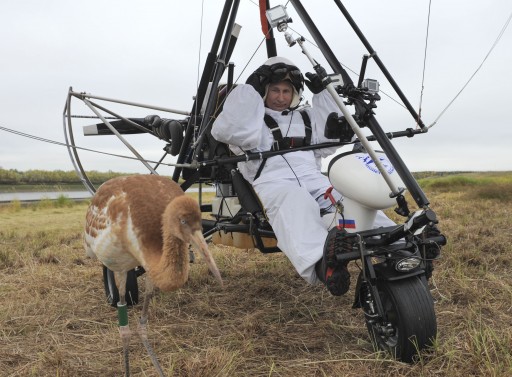 File: Russian President Vladimir Putin is seen in a motorized hand glider with a young crane nearby at the Kushevat ornithological station near the city of Salekhard in Yamalo-Nenetsky region, Russia, 05 September 2012. EPA/ALEXEY DRUGINYN / RIA NOVOSTI / KREMLIN POOL 