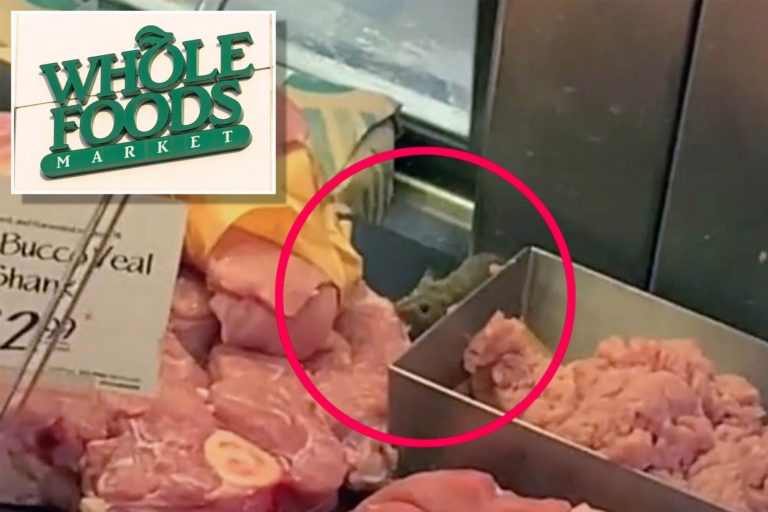 The Whole Foods Mouse in the Meat Showcase: A Halachic Analysis