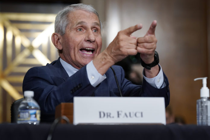 Fauci To Step Down After Decades As Top US Infection Expert
