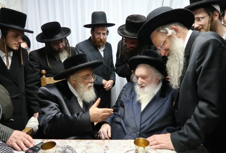Rav Moshe Shternbuch Challenges the Toldos Aharon Rebbe About Leaving Eretz Yisroel | SOURCE: VINnews