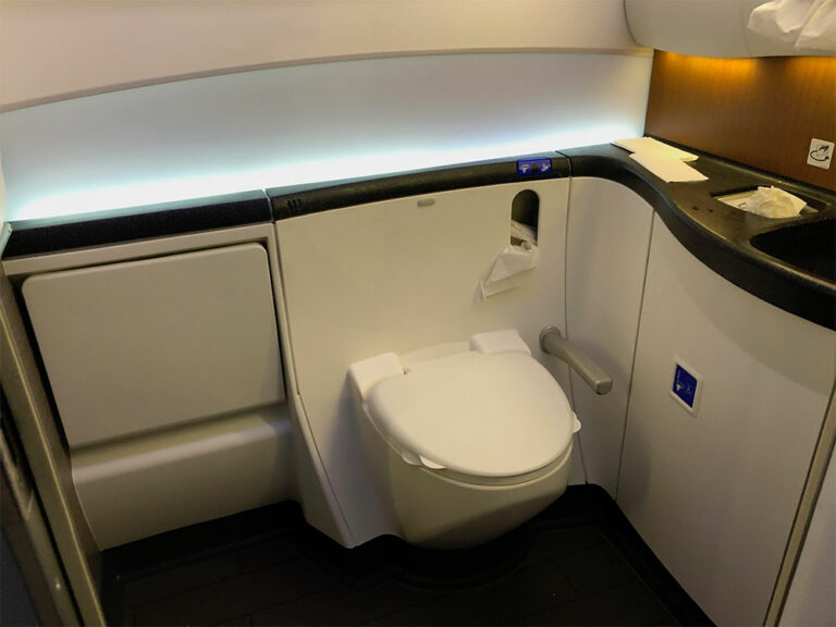 The US Is Requiring More Planes to Have Accessible Restrooms, but Change Will Take Years | SOURCE: VINnews