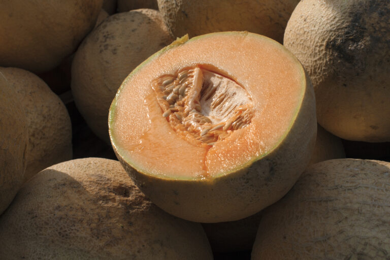 Don’t Eat Pre-cut Cantaloupe if the Source Is Unknown, CDC Says, as Deadly Salmonella Outbreak Grows | SOURCE: VINnews