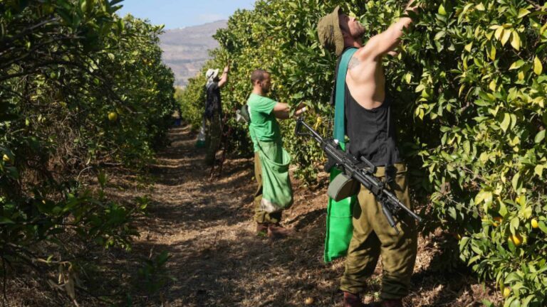‘Israel Has to Be Much More Food Self-Sufficient,’ Expert Warns | SOURCE: VINnews