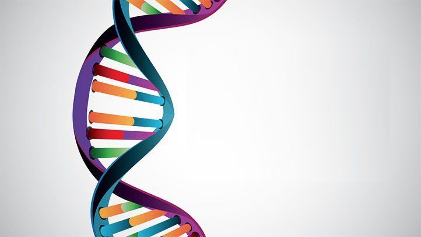 Kala 大师、BRCA 基因以及可以拯救生命的基因改造