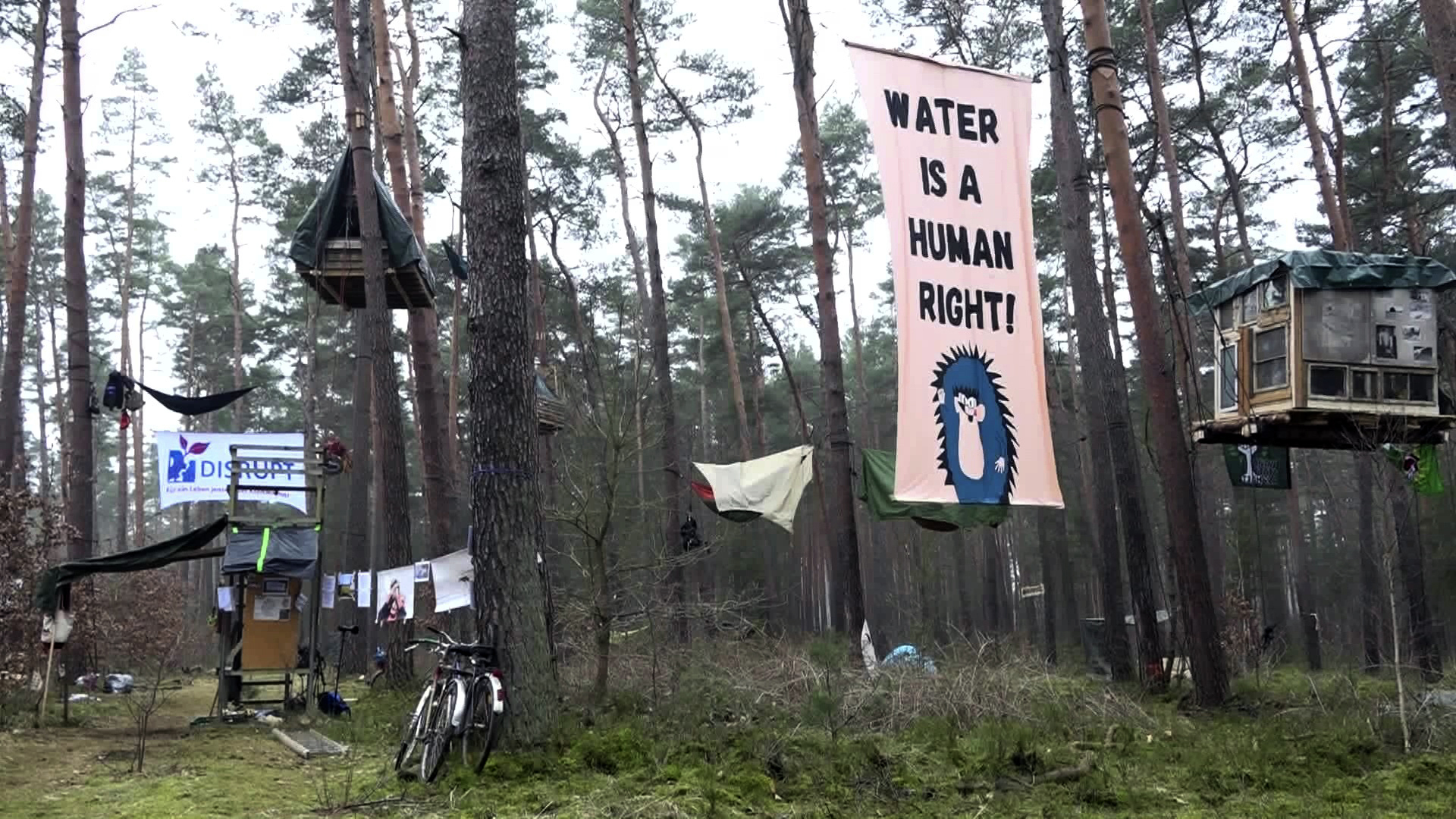 Activists Build Treehouses to Protest Tesla’s Plans to Expand Its Plant Near...