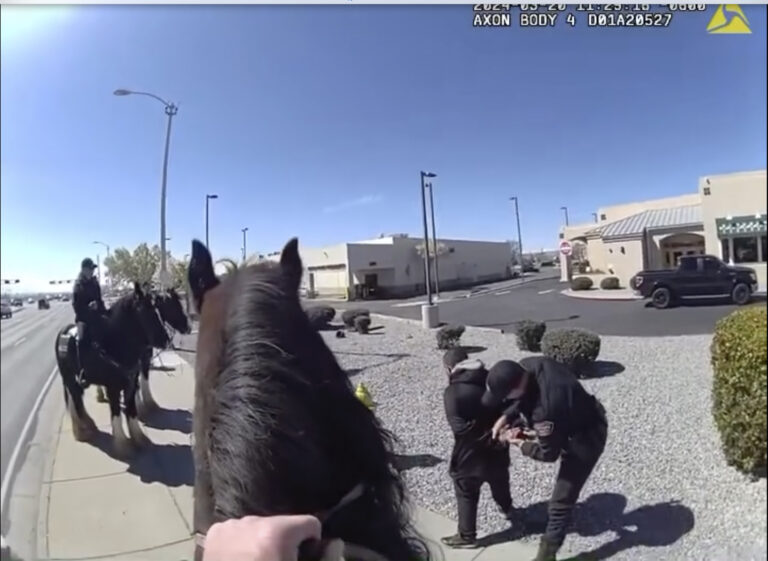 Watch: Shoplifter Chased by Police on Horses in New Mexico, Video Shows | SOURCE: VINnews