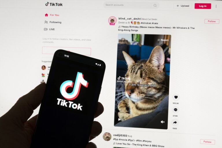 European Union Questions TikTok on New App That Pays Users for Watching | SOURCE: VINnews