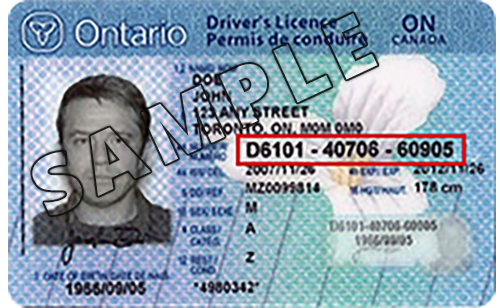 Ontario Will Suspend Driver’s Licenses for Convicted Car Thieves for at Least 10 Years | SOURCE: VINnews