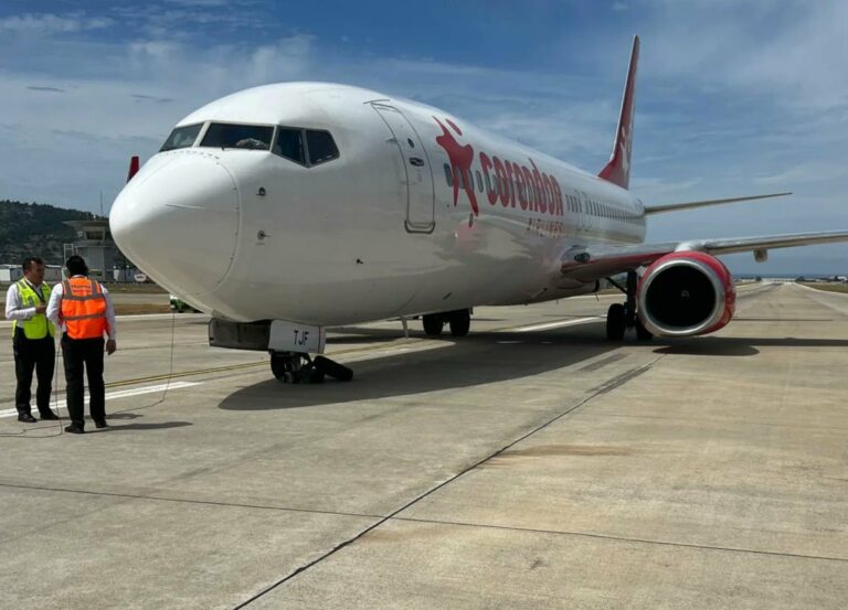 Passengers and Crew Safely Evacuated After Boeing 737 Plane’s Tire Burst During Landing in Turkey | SOURCE: VINnews