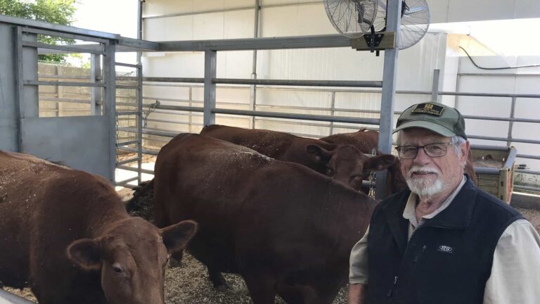 An Indiana Farmer’s Journey to Caring for Red Heifers Brought to Israel From Texas | SOURCE: VINnews
