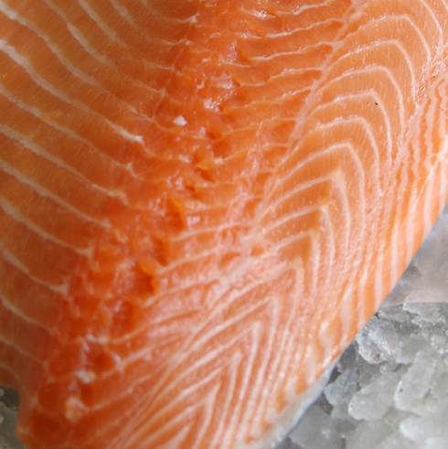 Israel, A Leader In Land-Based Salmon Farming, Solving Problems For Norway