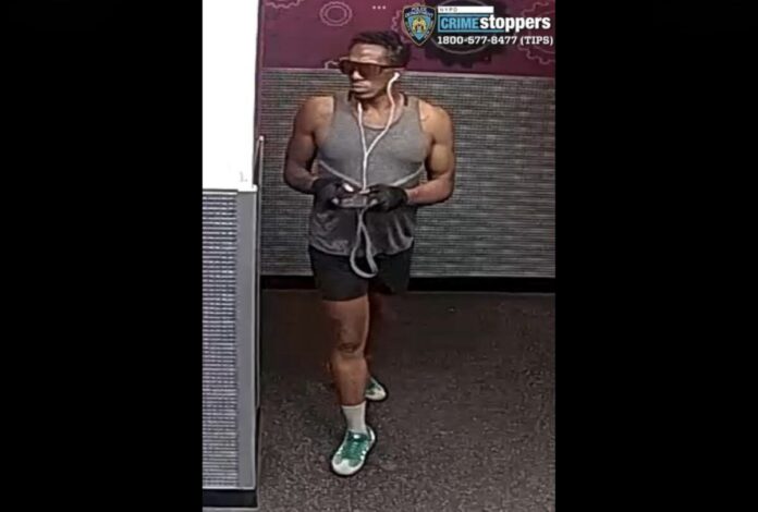 photo_2025-11-04_10-56-58