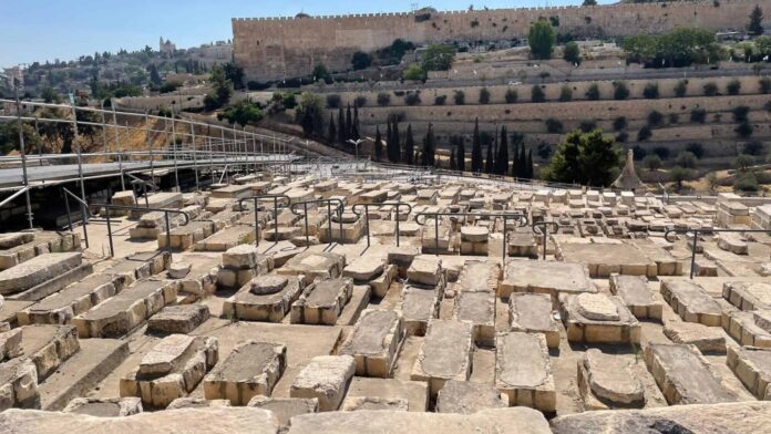 PHOTO-2025-11-04-14-11-59-2000x1125