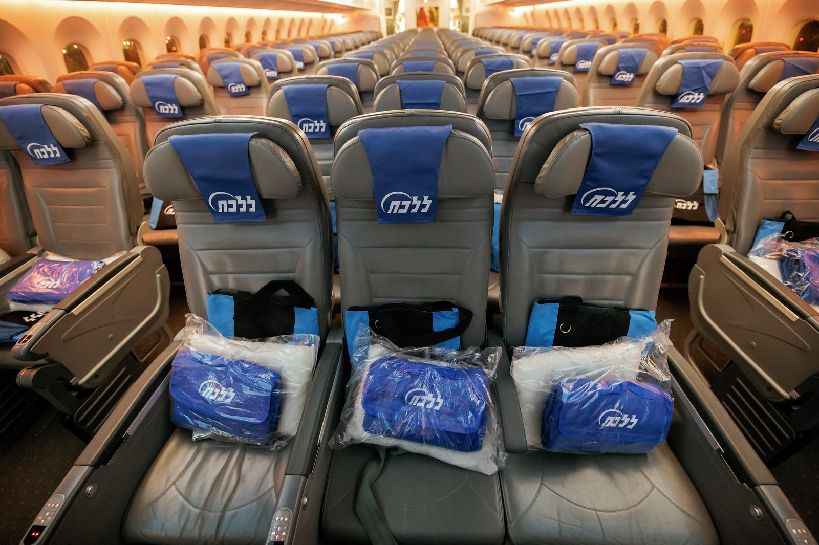 Jewish Travel Organization Denies Alleged Assaults During Israel Evacuations